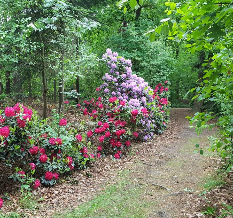 Veluwe Nature Home - 2 Persons Otterlo Ngoại thất bức ảnh